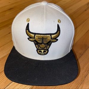 Bulls hat